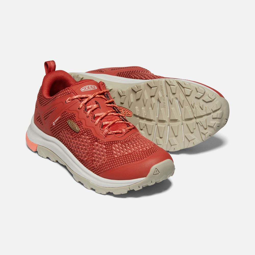 Keen Sneakers Dam Korall - Terradora Ii Vent Shoes - 516380PCH